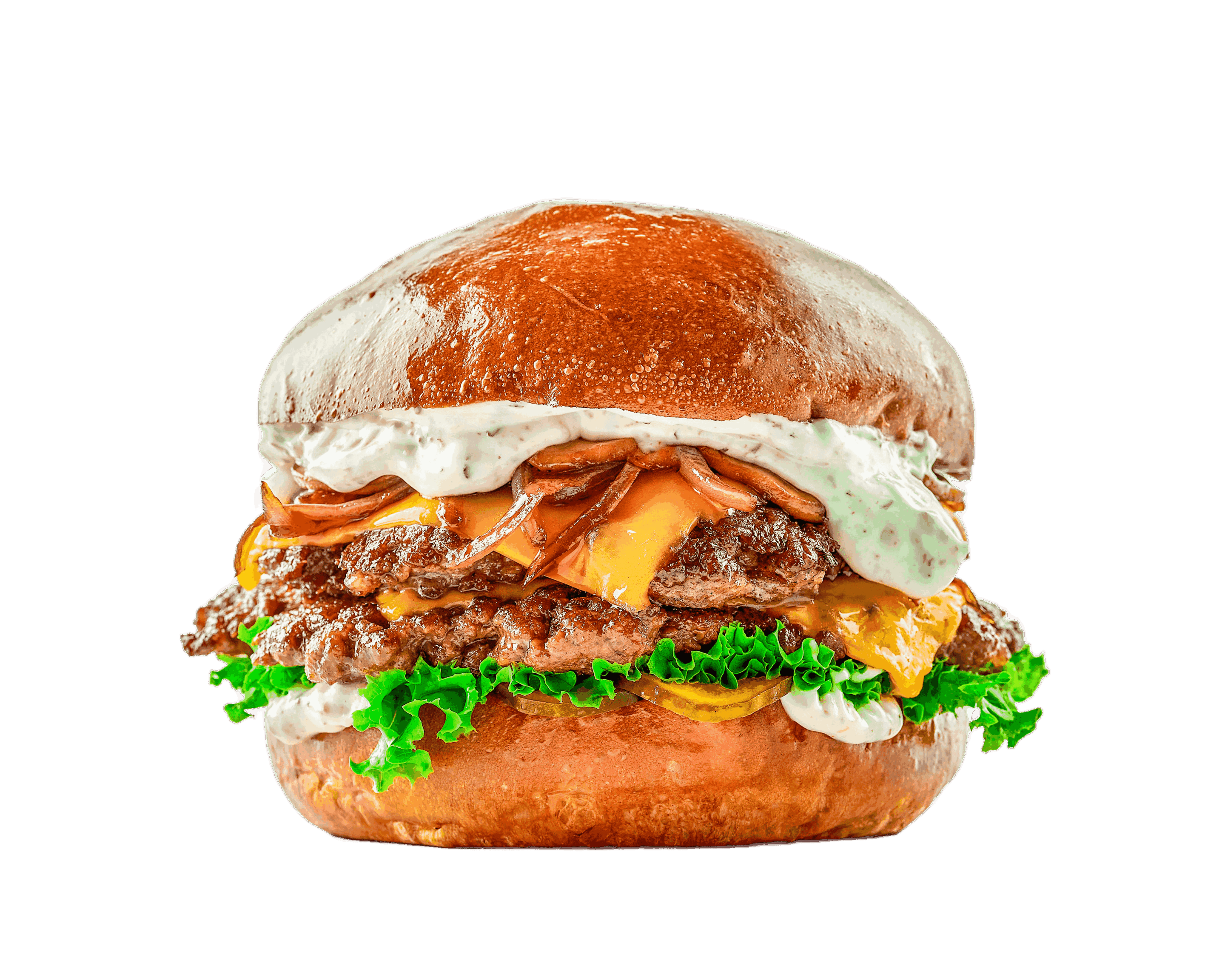 envato-labs-image-edit (3)_11zon